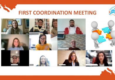 First Online Coordination Meeting