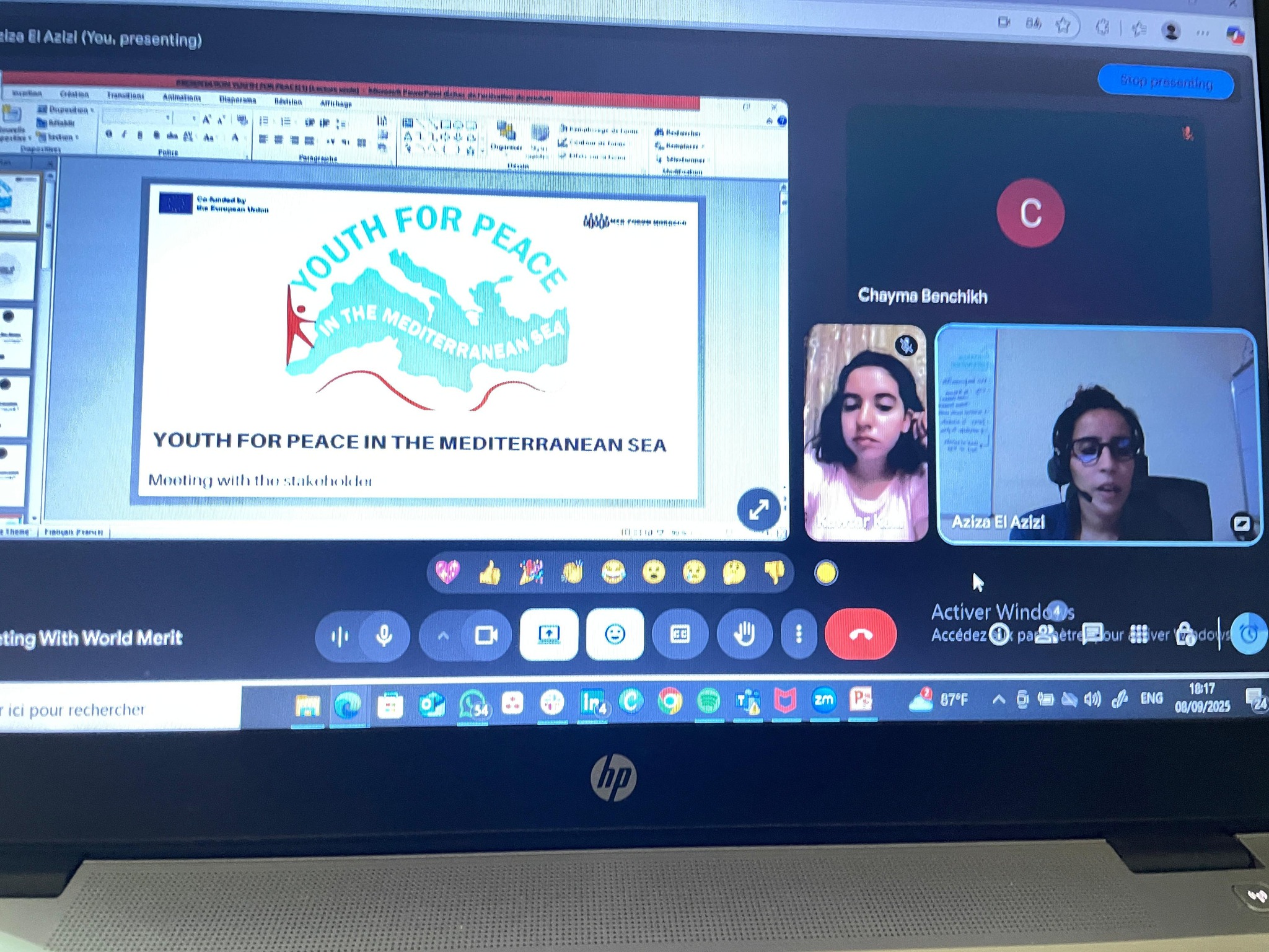 Online meeting – overview